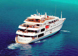 Tu Moana Schiff