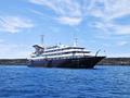 Silver Galapagos