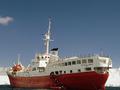 Antarctic Dream