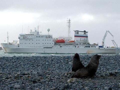 Akademik Vavilov Schiff