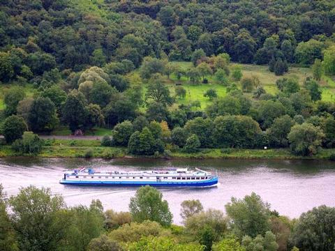 Patria Schiff