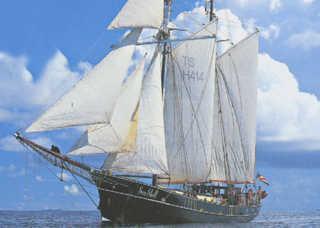 SV. Sea Shell Schiff