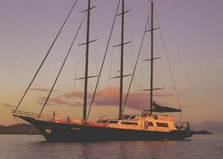 Sea Star Schiff