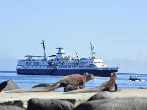 Santa Cruz Schiff