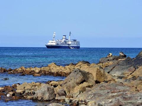 Santa Cruz Schiff