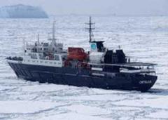 Ortelius

 