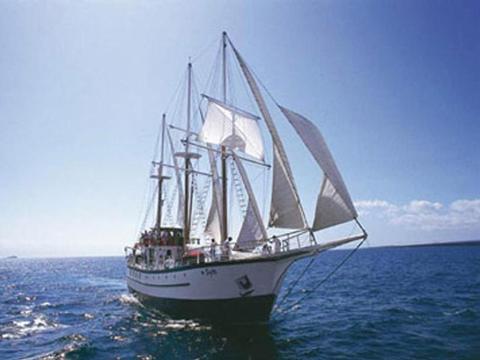 Sagitta Schiff