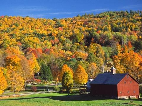 Indian Summer, Niagara Falls & New York City