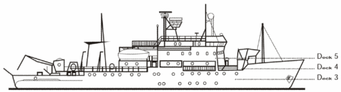 Querschnitt