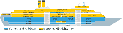 Querschnitt